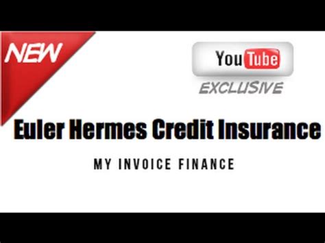 hermes credit insurance|euler Hermes credit check.